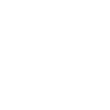 icons8 secure filled 100