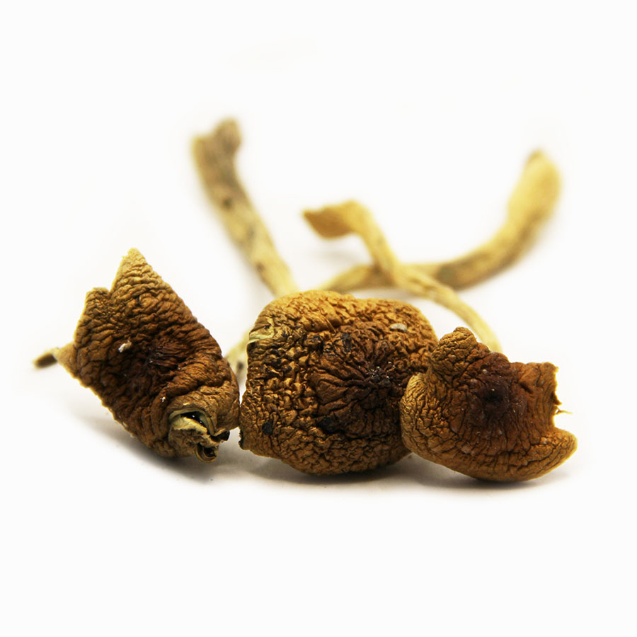 Mexican Budget Greens