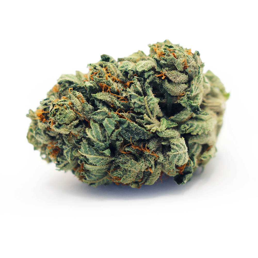 Purple Candy AAA | Budget Greens