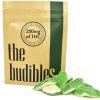 The Budibles Green Frogs 1